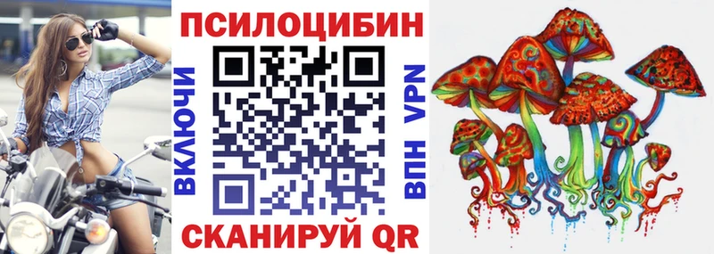 цена Рыбное Галлюциногенные грибы GOLDEN TEACHER